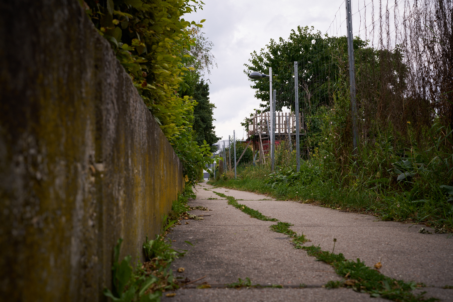 POV-Paar 5 — Hundesicht